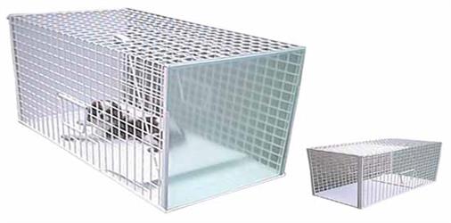 GABBIA DI CATTURA ANIMALI 82X36X36CM