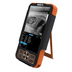 Ecografo CTS-800 grandi animali c/sonda lineare endorett. L7FVC